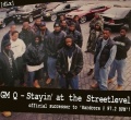 Stayin' at the Streetlevel